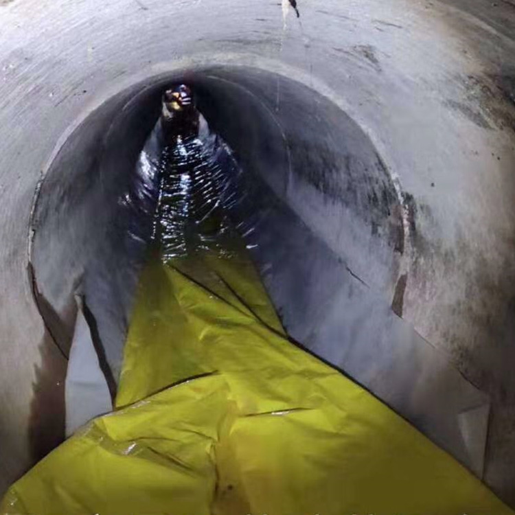 瑞丽管道光固化修复